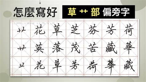 草部首的名字|部首为“艹部”的字